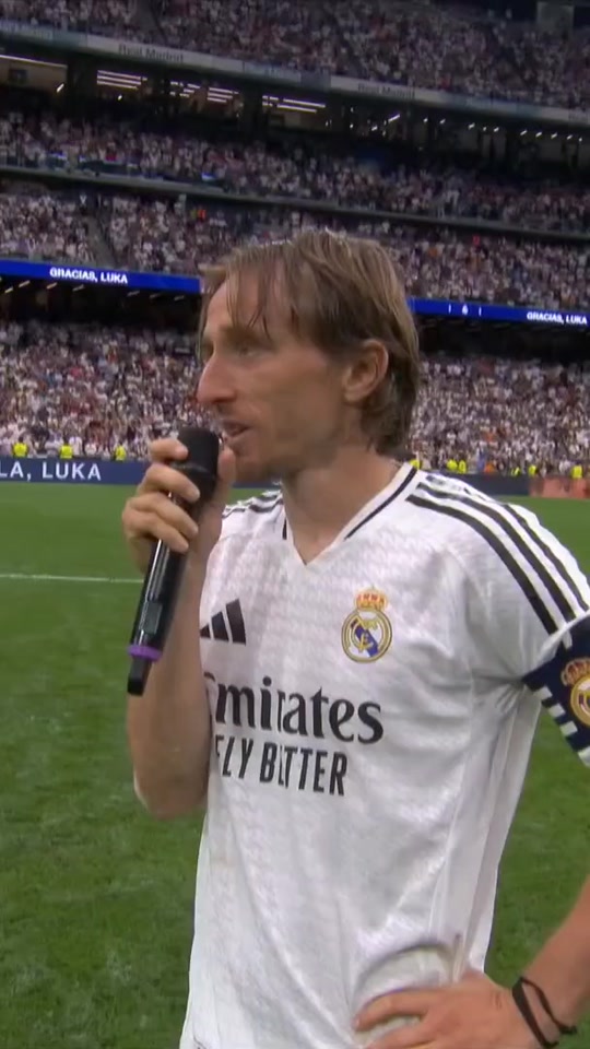 效限制了马 效限制了马